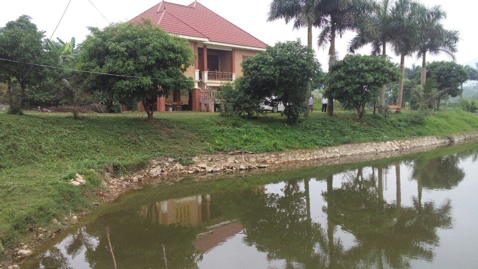Cần bán 1,1ha biệt thự nhà vườn khu nghỉ dưỡng tại xã Yên Bài, huyện Ba Vì, Hà Nội 10308146
