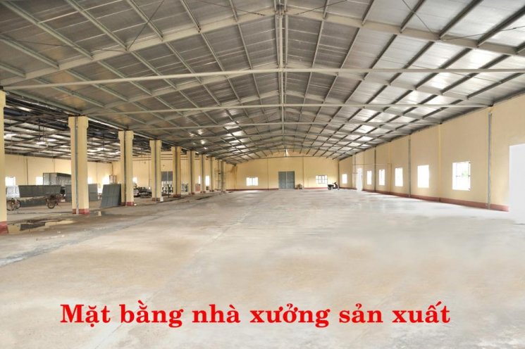 Cho thuê nhà xưởng tại Thái Bình, Đông Lâm, Tiền Hải với DTMB: 9.800m2, 0904222538
